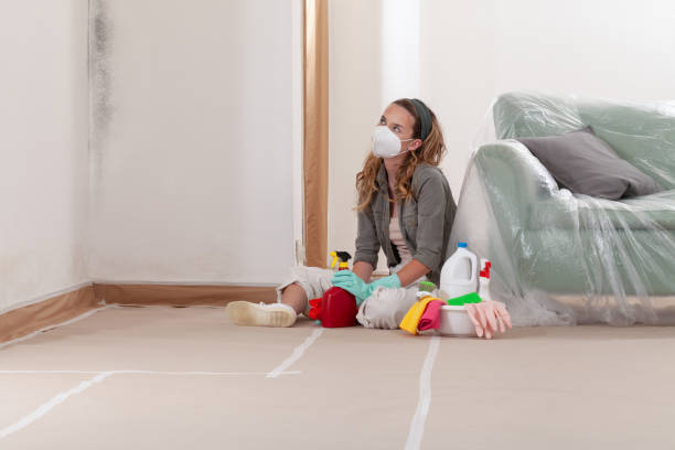 Reliable Mold Inspection And Testing contractor in Magnolia, NC by 24 Hour Mold Removal